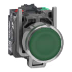 SCHNEIDER ELECTRIC - Pulsante luminoso, Harmony XB4, metallo, verde filoghiera, 22 mm, LED universale, gemma liscia, 1NO + 1NC, 24 V AC DC, Push in