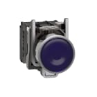 SCHNEIDER ELECTRIC - Pulsante luminoso blu Ø22 - filoghiera ad impulso - 120Vac - 1NO+1NC- LED universale