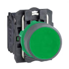 SCHNEIDER ELECTRIC - Pulsante verde 1NO ghiera grigia