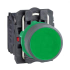 SCHNEIDER ELECTRIC - Pulsante verde NO+NC ghiera grigia