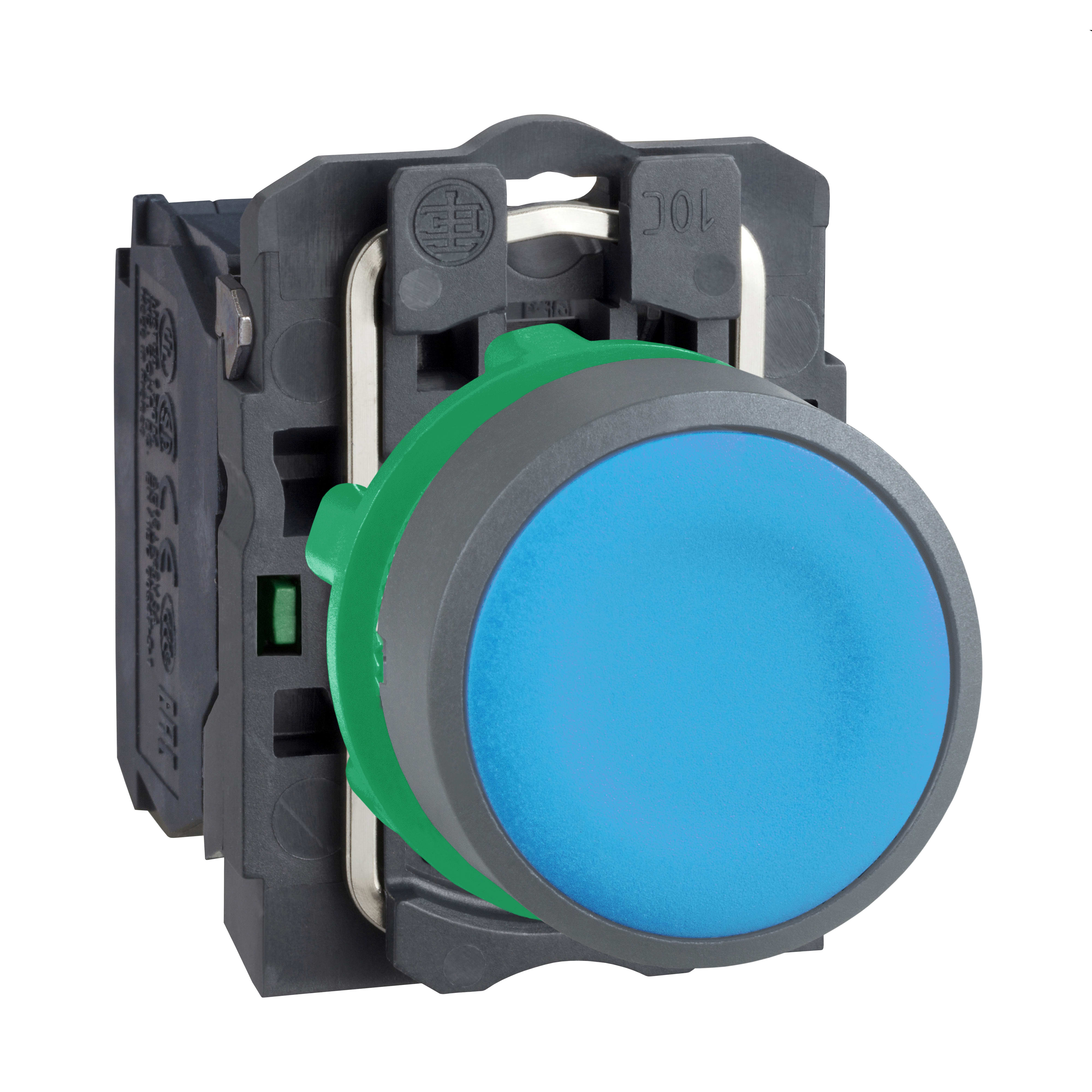 SCHNEIDER ELECTRIC - Pulsante blu 1NO ghiera grigia