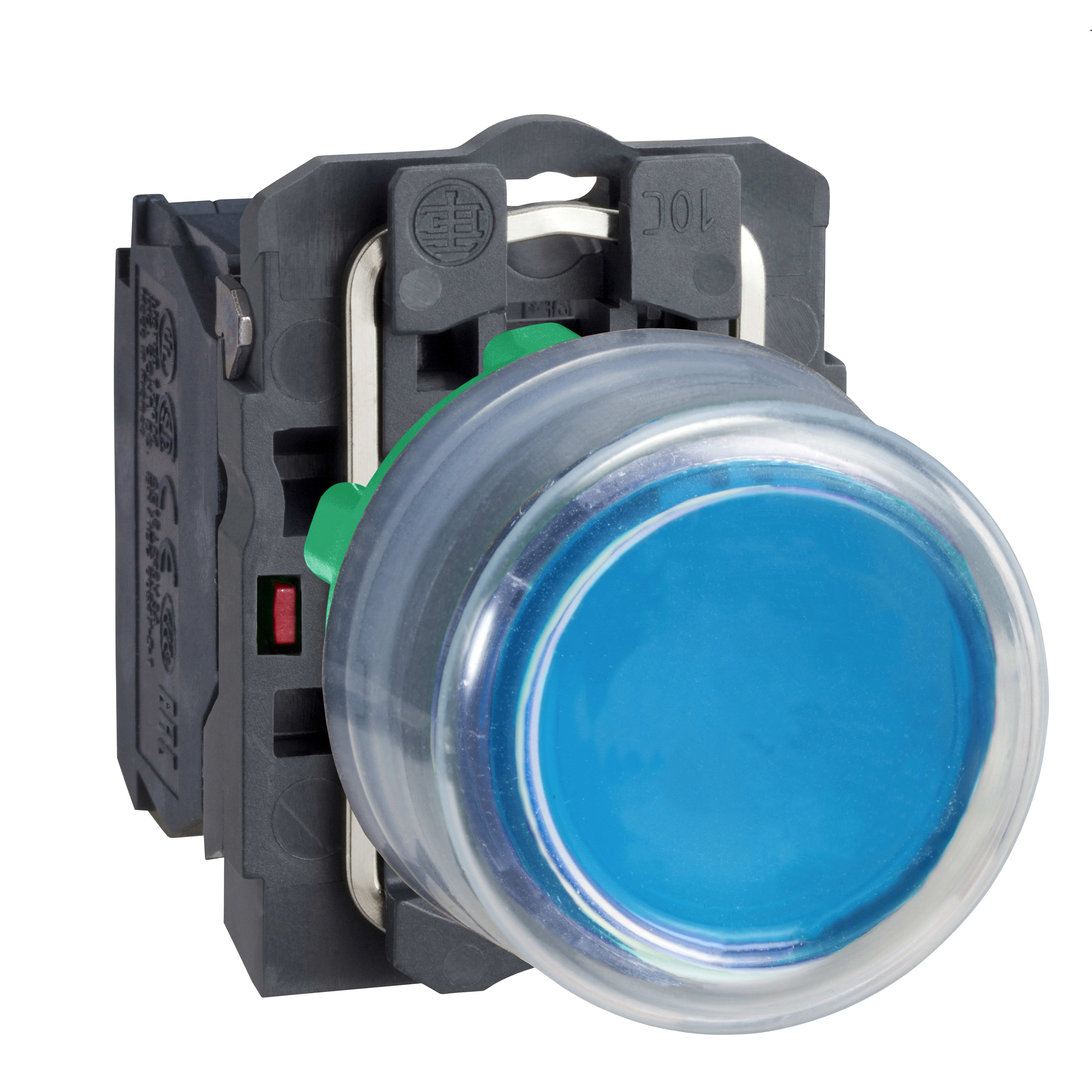 SCHNEIDER ELECTRIC - Pulsante blu ghiera grigia