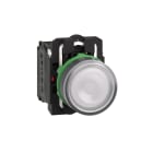 SCHNEIDER ELECTRIC - Pulsante luminoso bianco Ø22 - filoghiera ad impulso - 120Vac - 1NA+1NC