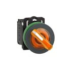 SCHNEIDER ELECTRIC - Selettore luminoso arancione 2 pos.filopannello Ø30 24Vac/dc NO+NC- LED universale