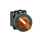 SCHNEIDER ELECTRIC - Selettore luminoso arancione 2 pos.filopannello Ø30 230VAC NO+NC- LED universale