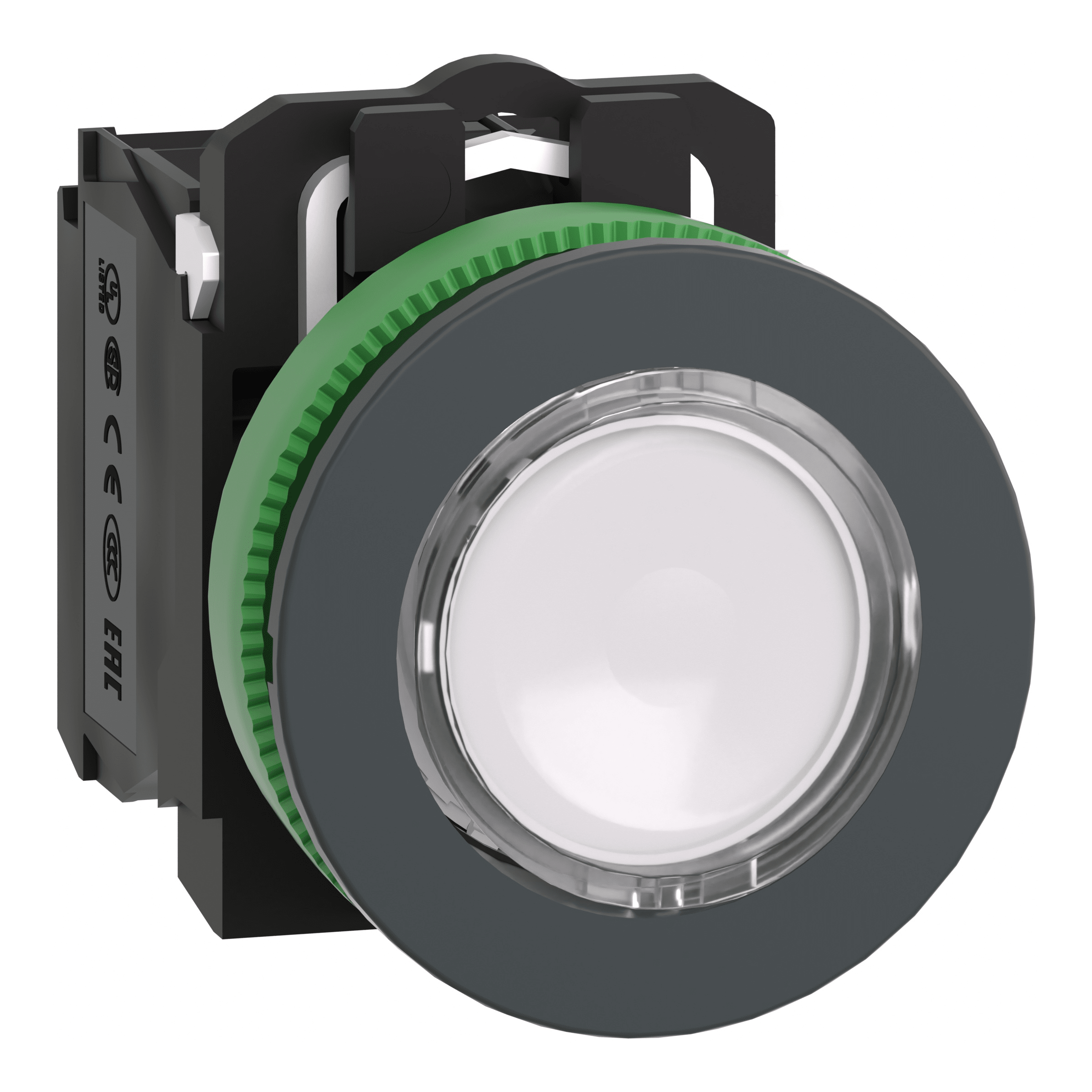 SCHNEIDER ELECTRIC - Harmony XB5, pulsante luminoso bianco Ø30 filopannello, ad impulso, plastica, LED universale, 24Vac/dc, NO+NC