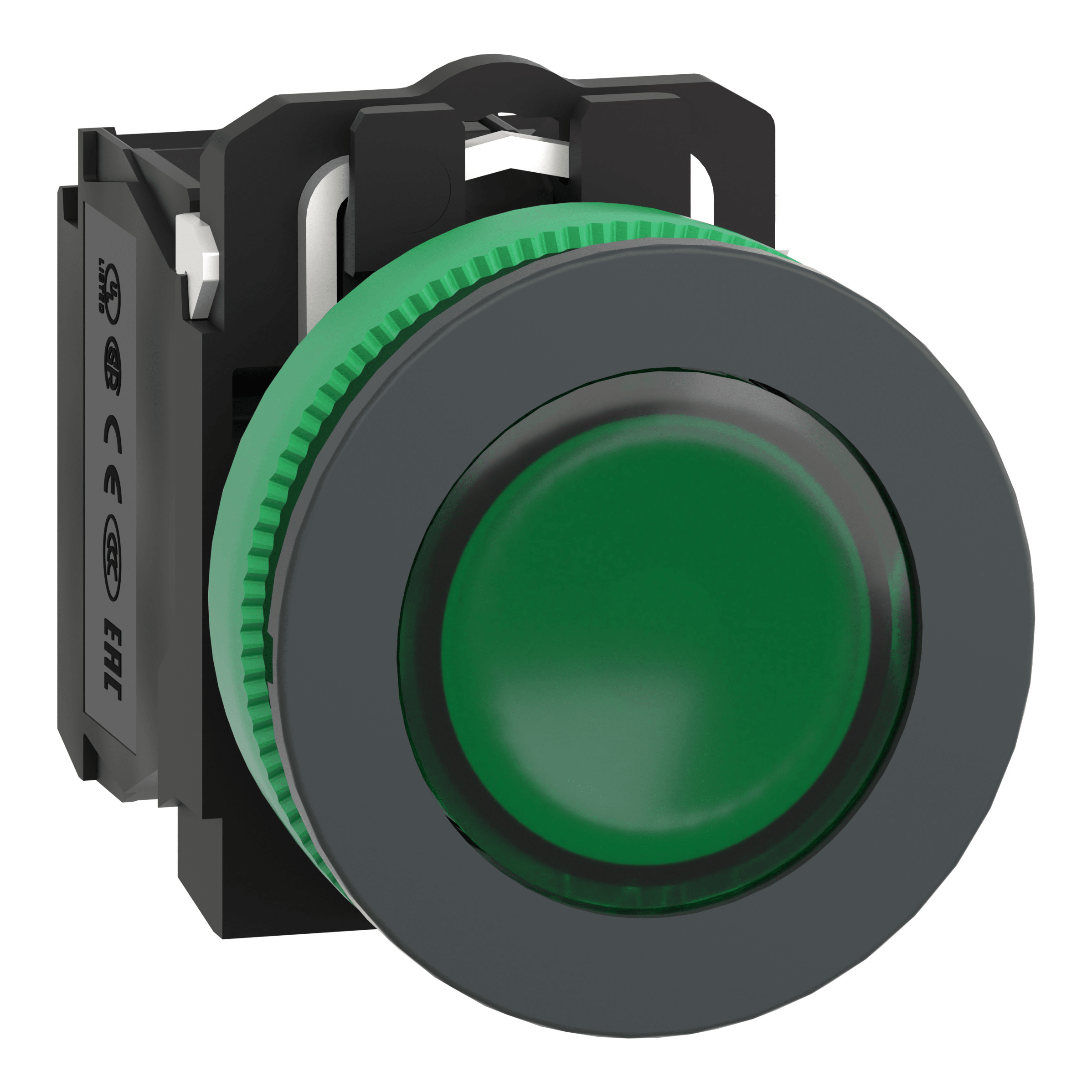 SCHNEIDER ELECTRIC - Harmony XB5, pulsante luminoso verde Ø30 filopannello, ad impulso, plastica, LED universale, 230Vac, NO+NC