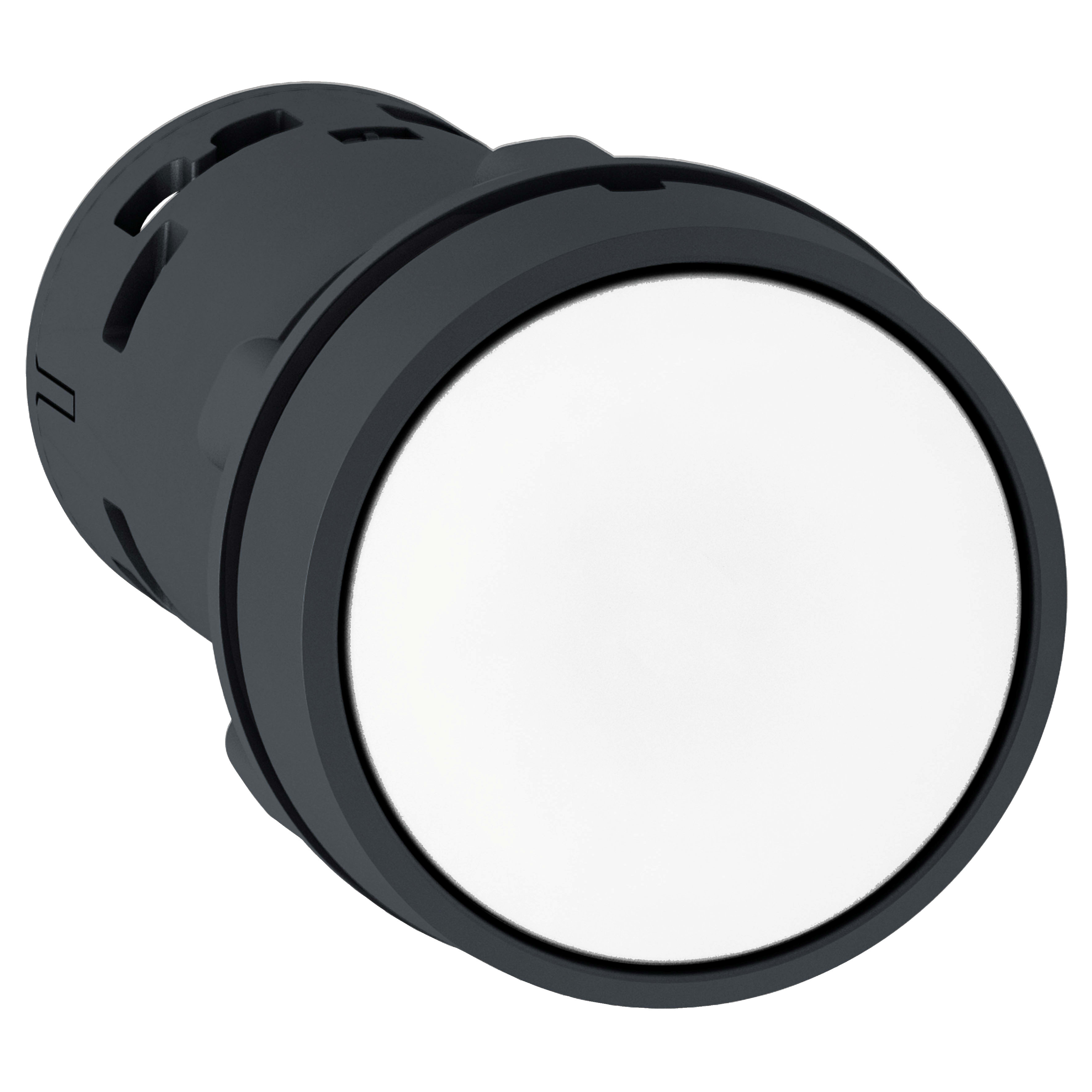 SCHNEIDER ELECTRIC - Pulsante ad impulso bianco - 1 NO XB7NA11