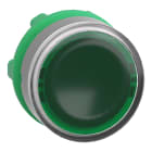 SCHNEIDER ELECTRIC - Testa pulsante verde per etichette -ghiera grigia- per LED universale- Ø22