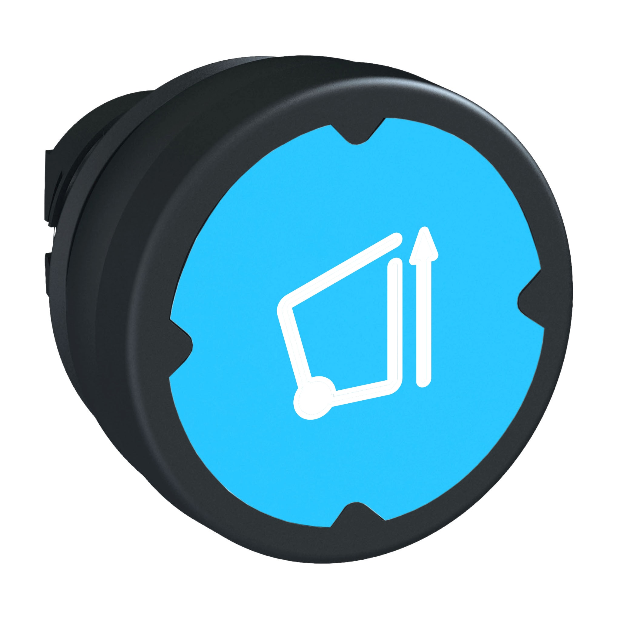 SCHNEIDER ELECTRIC - Testa pulsante - blu chiaro - con etichetta