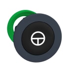 SCHNEIDER ELECTRIC - Testa pulsante nero filopannello Ø30 "T"