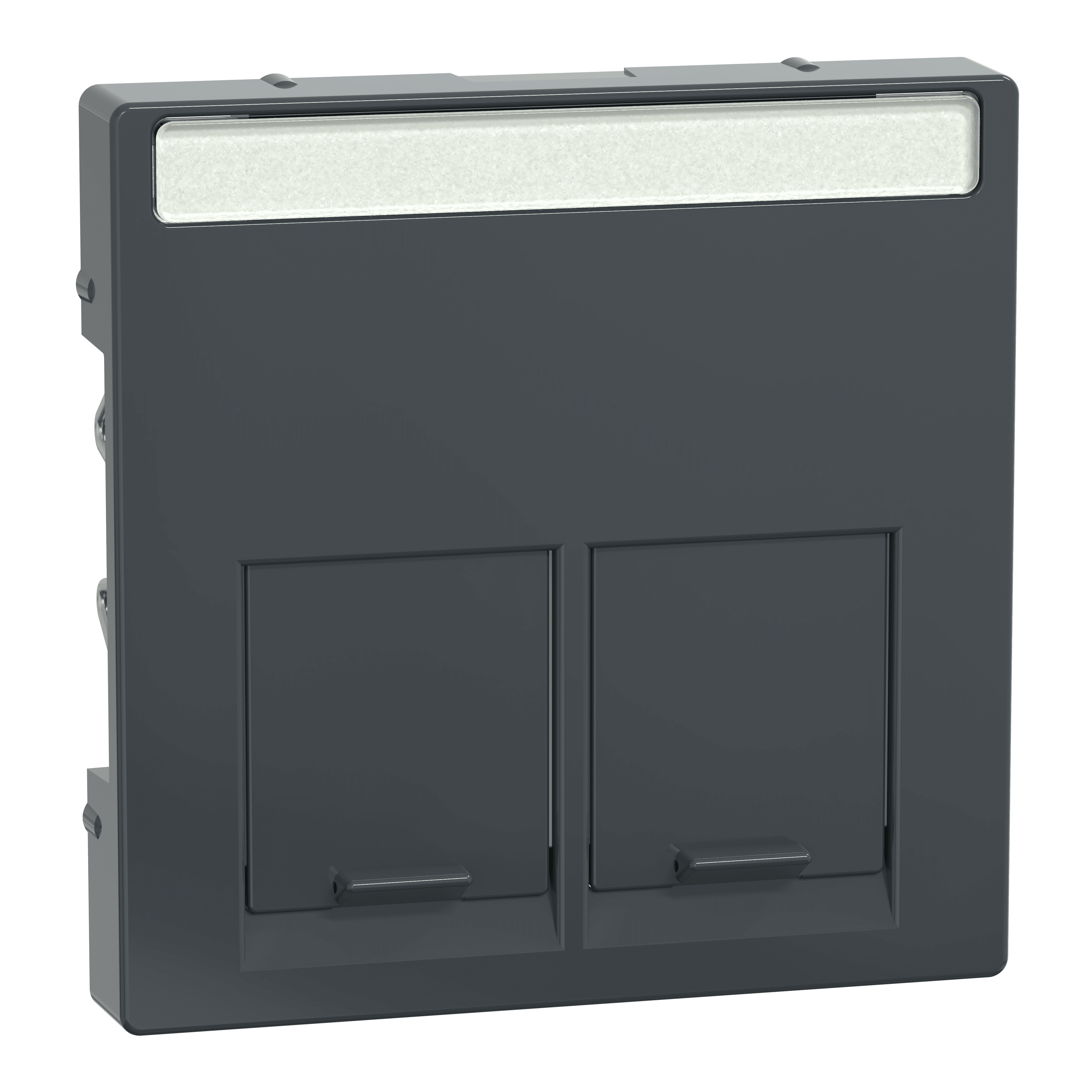 SCHNEIDER ELECTRIC - PLACCA CENTR DOPPIA PRESA DATI ANTRACITE