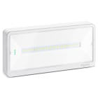 SCHNEIDER ELECTRIC - Exiway Light, IP42, Autoalimentato Standard, SE-SA, 250/200/150/120lm SE, 150lm SA, 1/1,5/2/3h, illuminazione di sicurezza