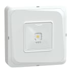 SCHNEIDER ELECTRIC - Exiway Smartbeam Soffitto, IP65, da Soccorritore Control,  190lm, Via di esodo, illuminazione di sicurezza