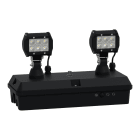 SCHNEIDER ELECTRIC - Exiway Smartduo, IP65, Autoalimentato Autodiagnosi Activa, 2400lm SE, 1h, Apparecchio di illuminazione di sicurezza
