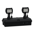 SCHNEIDER ELECTRIC - Exiway Smartduo, IP65, Autoalimentato Diagnosi Centralizzata (DiCube), 2400lm SE, 1h, Apparecchio di illuminazione di sicurezza