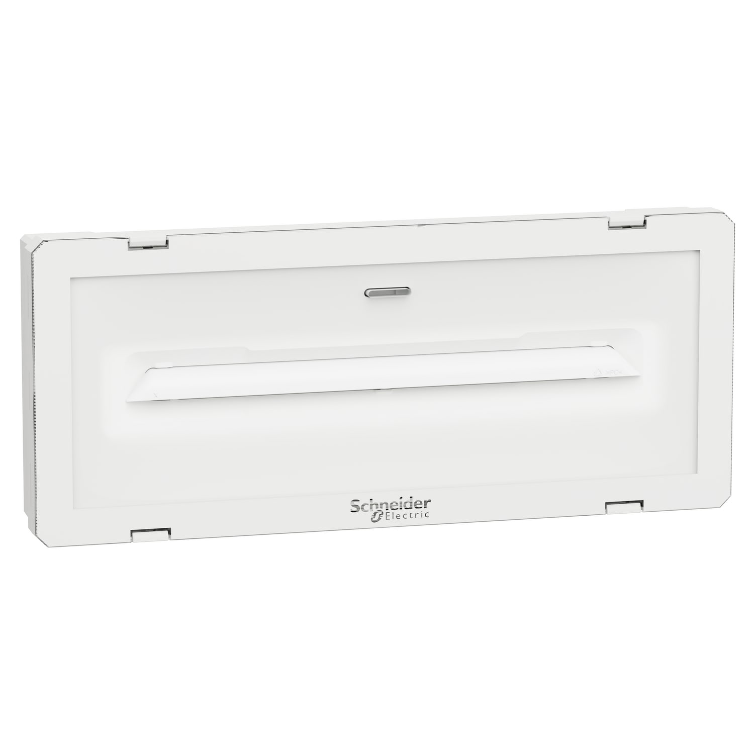 SCHNEIDER ELECTRIC - Lampada di emergenza, Exiway Smartled, WALL, Activa/Dicube, durata&nbsp;selezionabile, 750 lm, permanente/non permanente, IP65