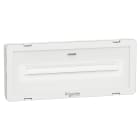 SCHNEIDER ELECTRIC - Lampada di emergenza, Exiway Smartled, WALL, Activa/Dicube, durata&nbsp;selezionabile, 750 lm, permanente/non permanente, IP65