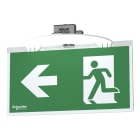 SCHNEIDER ELECTRIC - Exiway Smartbeam Incasso,  kit vetrosignal, 20m, accessorio per modello Lente via di esodo
