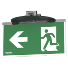 SCHNEIDER ELECTRIC - Kit vetrosignal, Exiway Smartbeam DiCube, 20 m, per apparecchi da incasso, verde