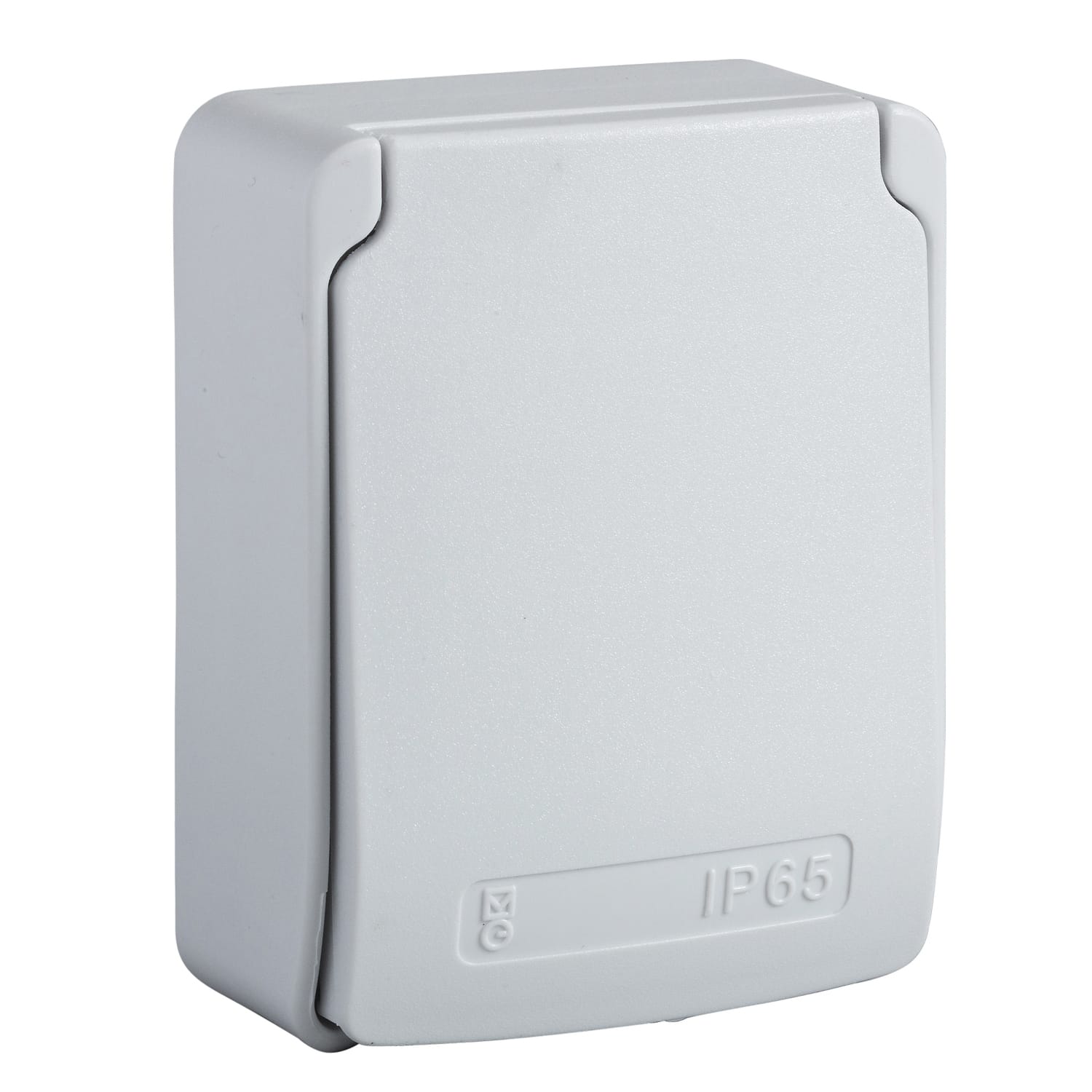 SCHNEIDER ELECTRIC - Presa PK - Grigia - 2P+T - 10/16 A - 250 V - Germania - IP65 - Mtg in superficie