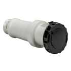 SCHNEIDER ELECTRIC - Presa mobile BT IP67 63A 500V 3P+T