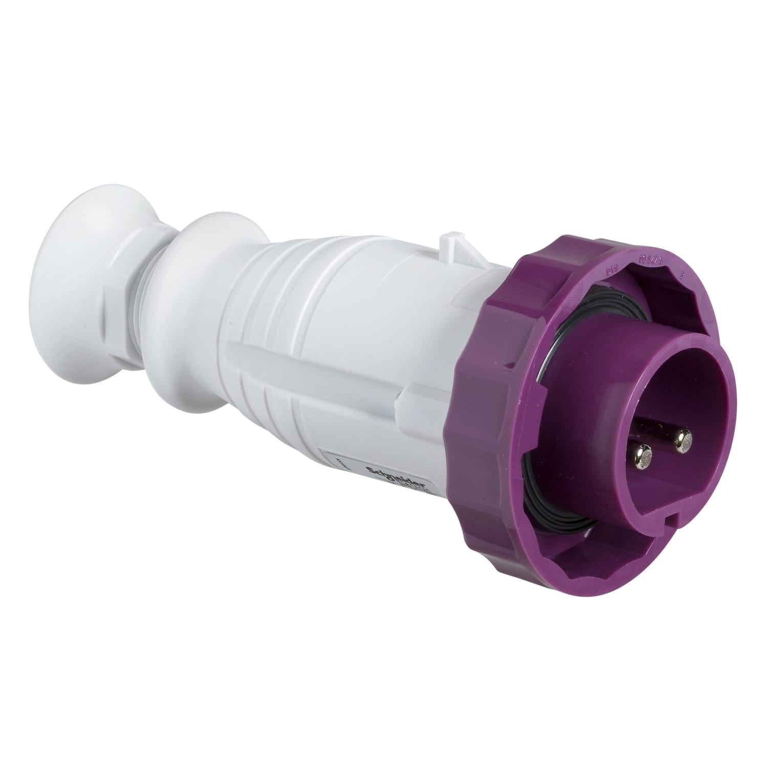 SCHNEIDER ELECTRIC - Spina mobile BTS IP67 32A 24V 50Hz 2P