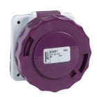 SCHNEIDER ELECTRIC - Presa fissa BTS da incasso IP67 32A 24V 50Hz 2P