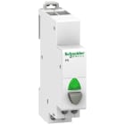 SCHNEIDER ELECTRIC - Pulsante iPB 1NA 20A 250Vca grigio e spia verde 12÷48Vca/cc