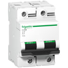 SCHNEIDER ELECTRIC - Interruttore magnetotermico C120N 2P C 100A 10000A