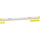 SCHNEIDER ELECTRIC - Pettine iC40 1P+N 24 moduli
