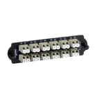 SCHNEIDER ELECTRIC - Piastra con 12 bussole LC duplex colore beige per fibre multimodali OM2/OM3/OM4