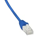 SCHNEIDER ELECTRIC - Patch cord, Actassi, Category 6, U/UTP, LSZH, 1 m, blu