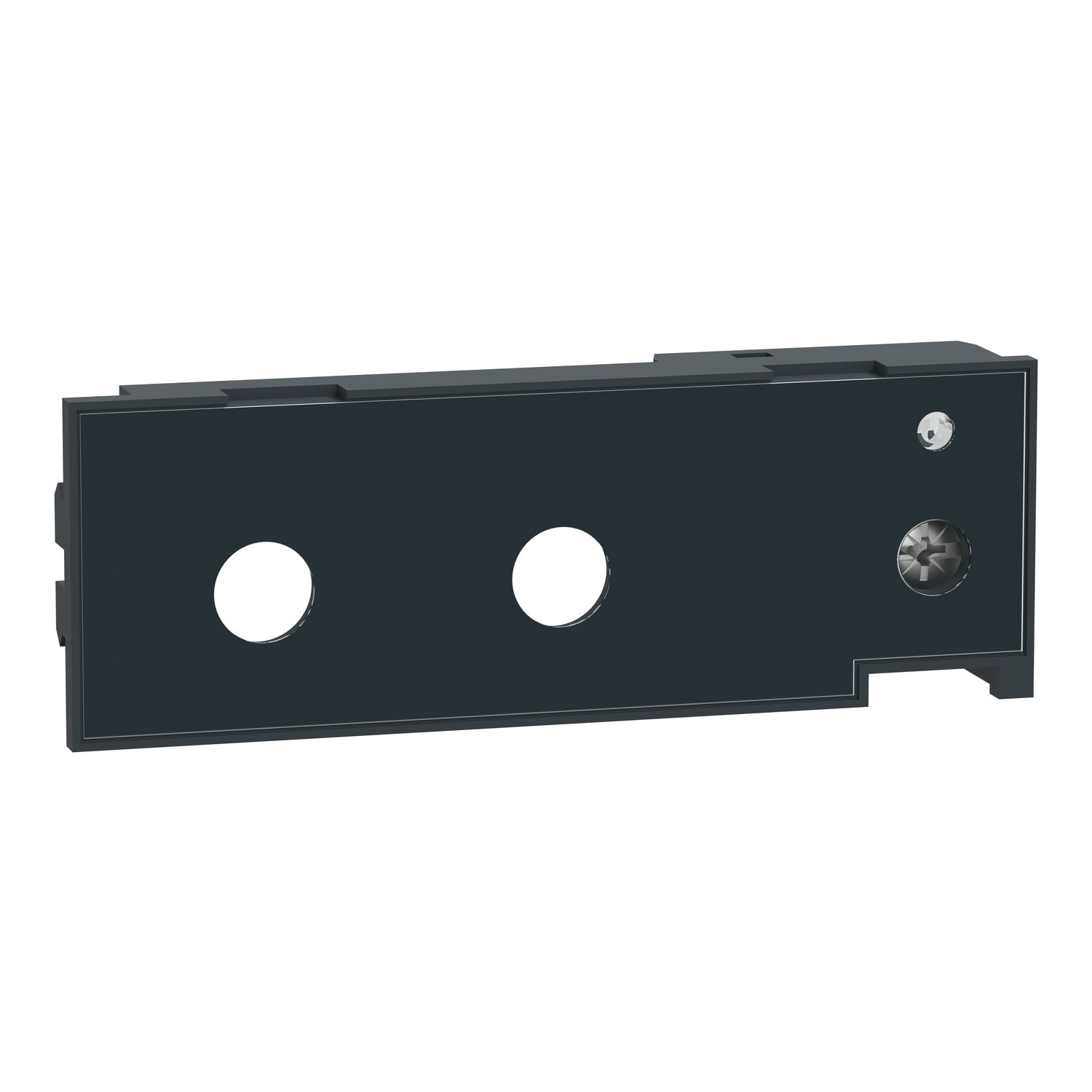 SCHNEIDER ELECTRIC - modulo di taratura a lunga durata, ComPacT NS, IEC, sganciatore MicroLogic, modulo OFF&nbsp;(Ir = In)
