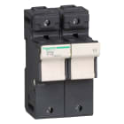 SCHNEIDER ELECTRIC - Portafusibile TeSys DF 125A - fusibile 22x58 2P