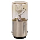 SCHNEIDER ELECTRIC - Lampadina a incandescenza - BA 9S - 24V 2 W