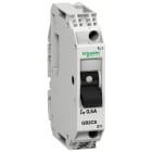 SCHNEIDER ELECTRIC - Interruttore TeSys per circuiti di controllo - GB2CS - 0,5 A - 1 polo - 1d