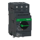 SCHNEIDER ELECTRIC - Int. autom. TeSys GV3 - magnterm - manovra rotativa - 23-32A EverLink a vite BTR