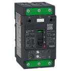 SCHNEIDER ELECTRIC - Interruttore salvamotore magnetotermico 115A 50kA Everlink