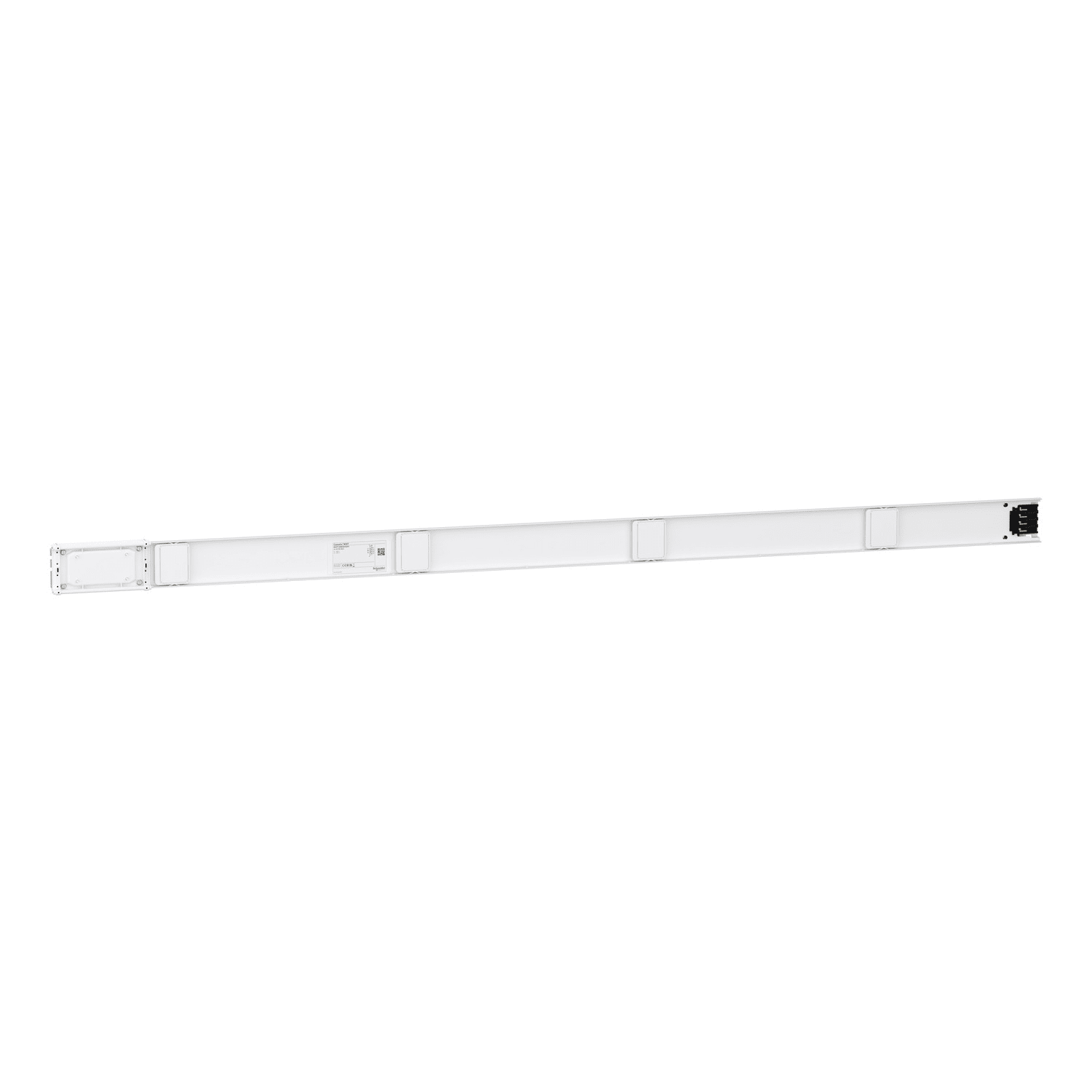 SCHNEIDER ELECTRIC - Canalis - Elemento rettilineo - 100 A - 2 m -4 derivazioni -bus