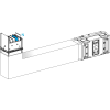 Miniatura Immagine principale 1