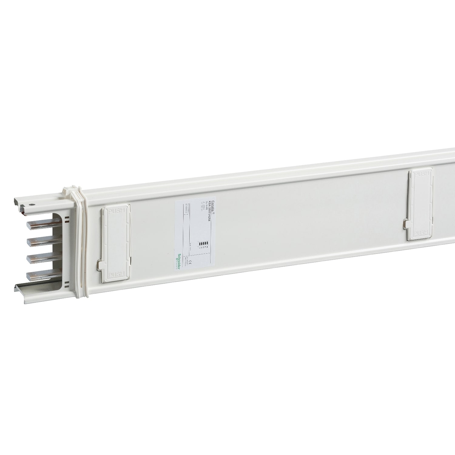SCHNEIDER ELECTRIC - Canalis - Elemento di colonna - 100 A - 2,5 m - 4 derivazioni