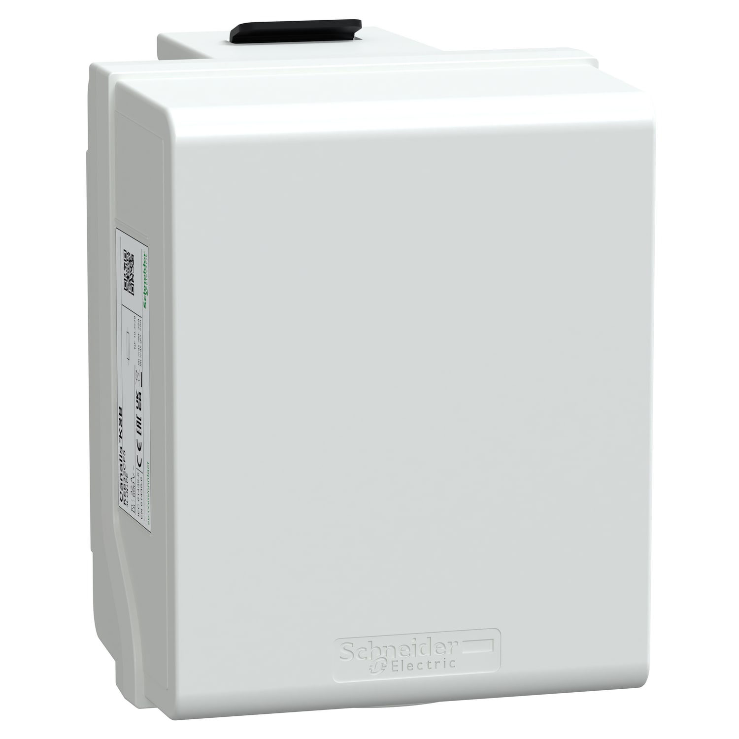 SCHNEIDER ELECTRIC - Canalis - Unità di derivazione per fusibile NF - 10 x38 - 32 A - 3L + N + PE