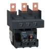 Miniatura Immagine principale 1