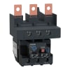 Miniatura Immagine principale 1