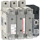 SCHNEIDER ELECTRIC - Interruttore-sezionatore con fusibili, FuPact, FuPactGS BS100, 3 poli