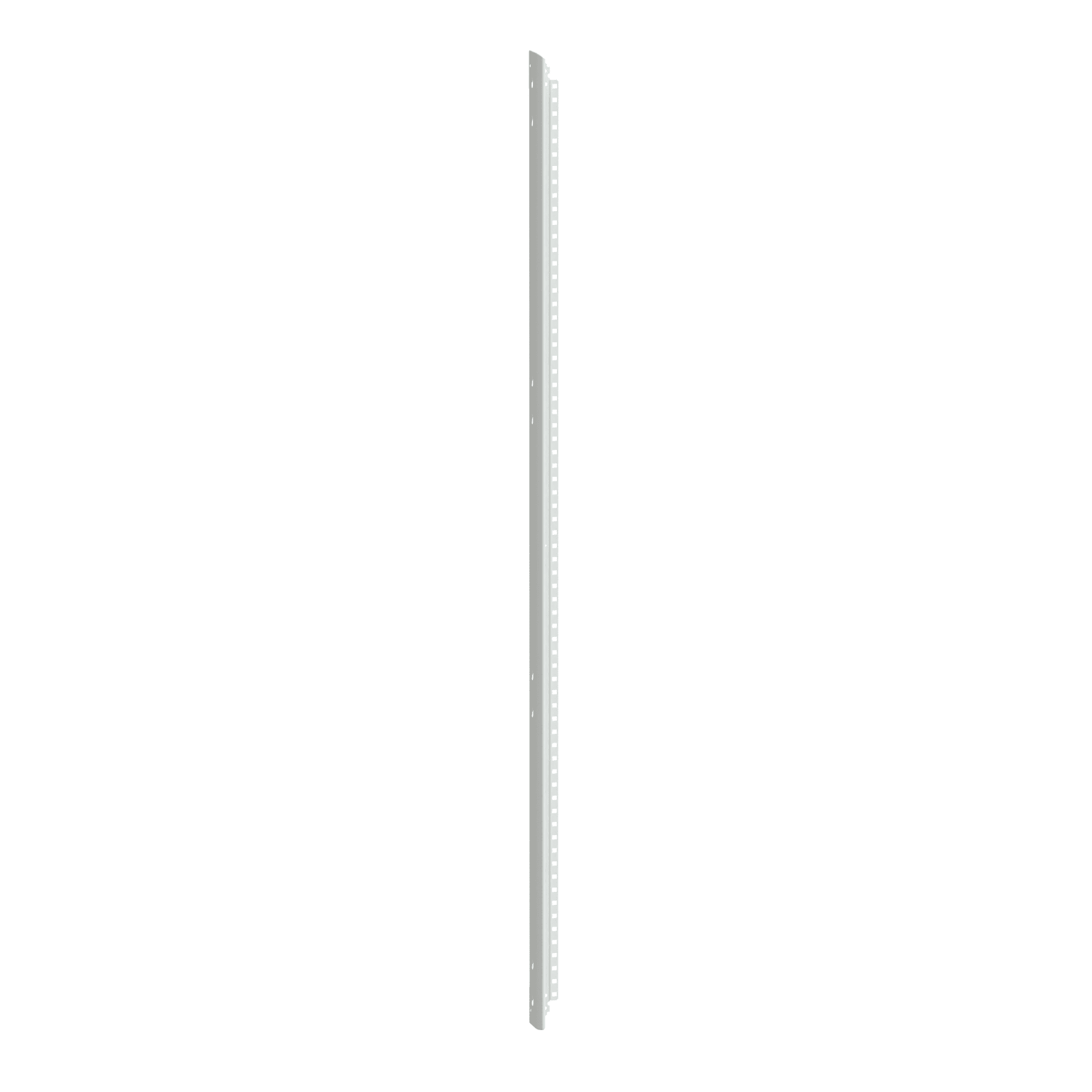 SCHNEIDER ELECTRIC - Profilo affianc 36M Prisma G IP30