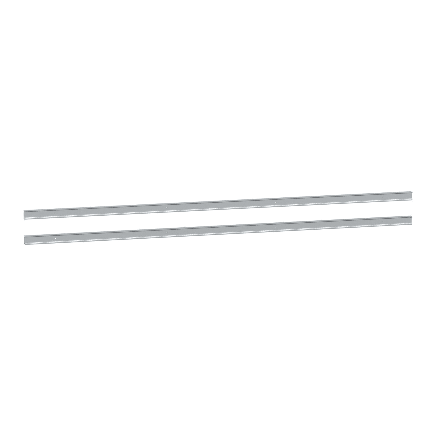 SCHNEIDER ELECTRIC - 2 Guide modulari L1600mm