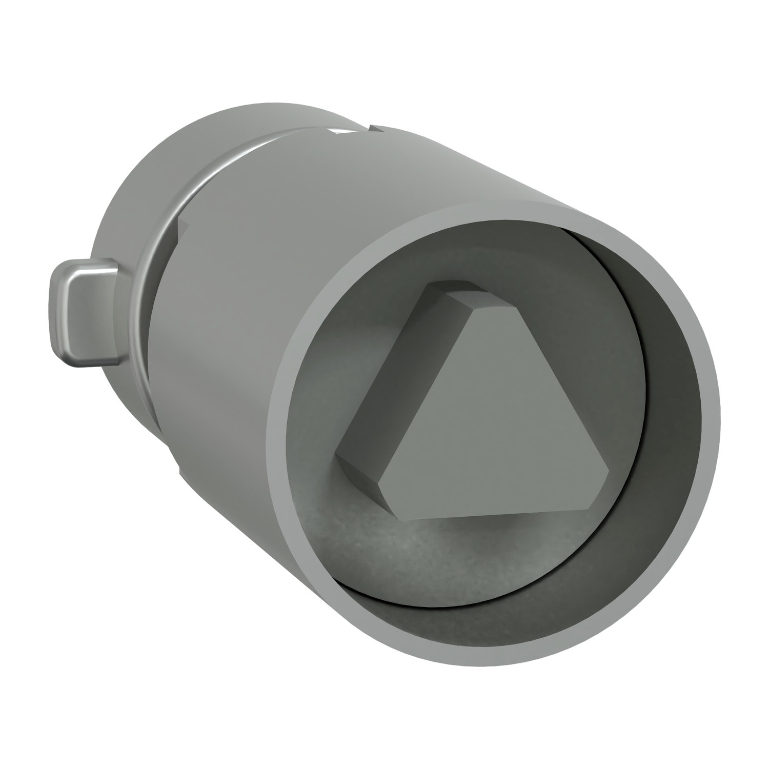 SCHNEIDER ELECTRIC - Inserto Maschio Triangolare 8 mm