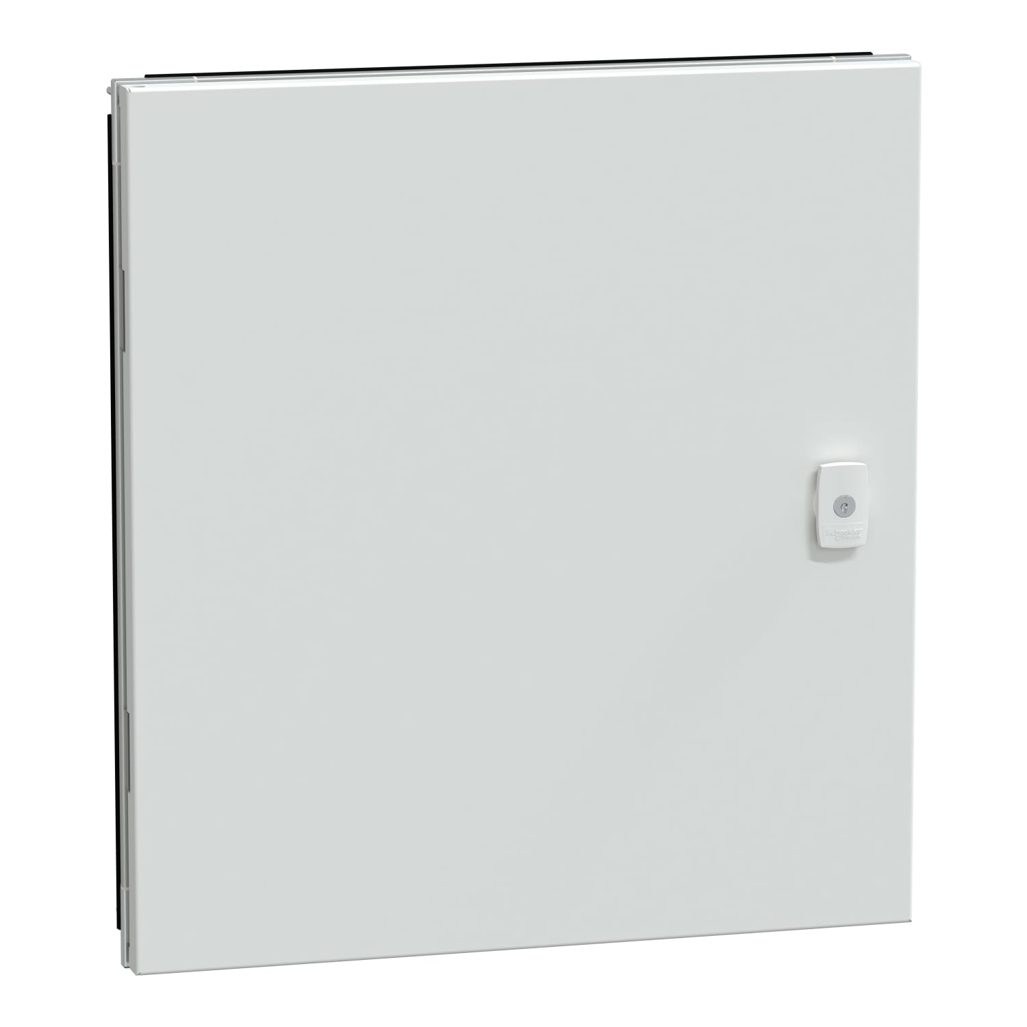 SCHNEIDER ELECTRIC - Porta piena Prisma G IP55 11M